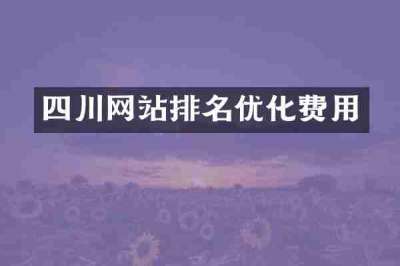 四川网站排名优化费用