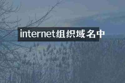 internet组织域名中