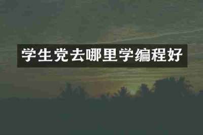 学生党去哪里学编程好