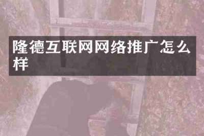 隆德互联网网络推广怎么样