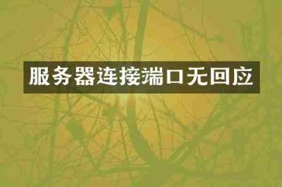 服务器连接端口无回应