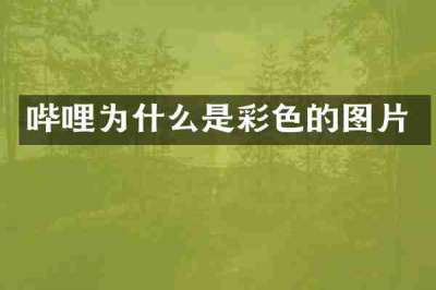 哔哩为什么是彩色的图片