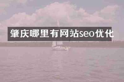 肇庆哪里有网站seo优化