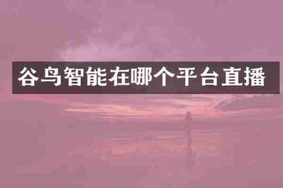 谷鸟智能在哪个平台直播