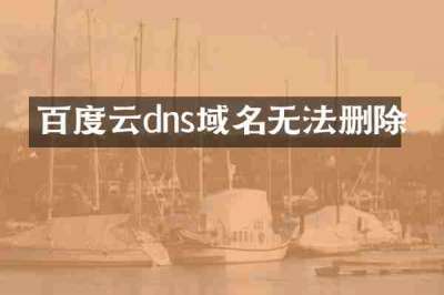 百度云dns域名无法删除