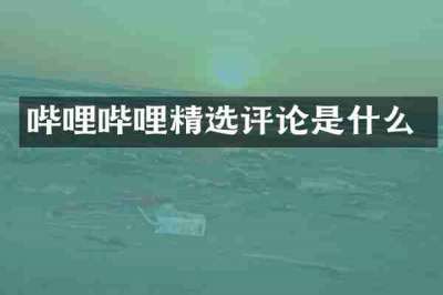 哔哩哔哩精选评论是什么