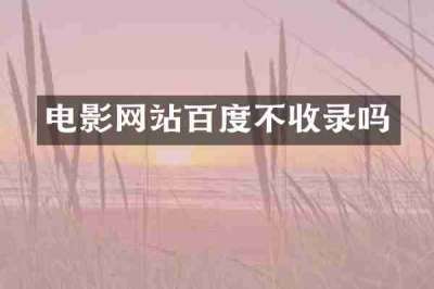 电影网站百度不收录吗