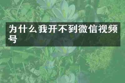 为什么我开不到微信视频号