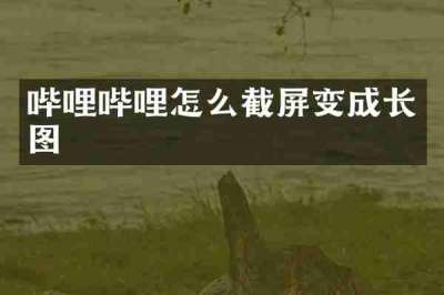 哔哩哔哩怎么截屏变成长图
