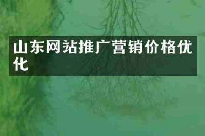 山东网站推广营销价格优化