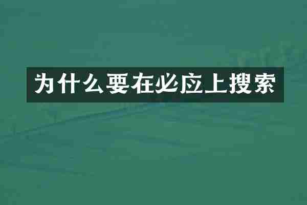 为什么要在必应上搜索