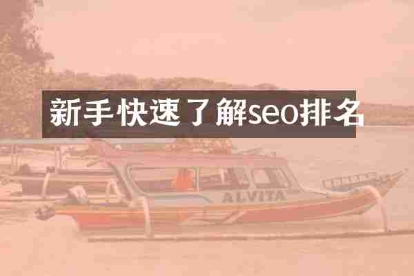 新手快速了解seo排名
