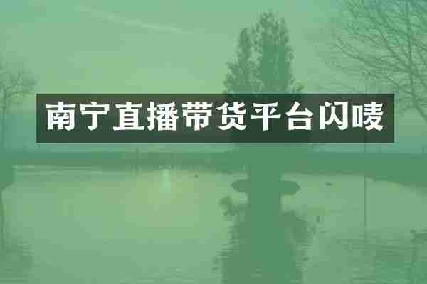 南宁直播带货平台闪唛