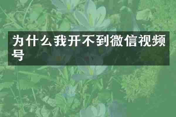 为什么我开不到微信视频号