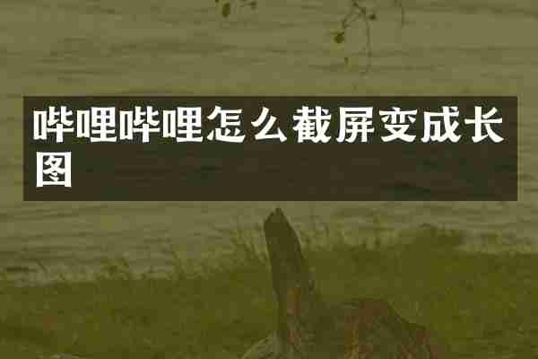 哔哩哔哩怎么截屏变成长图