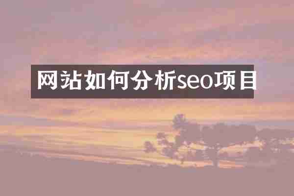 网站如何分析seo项目