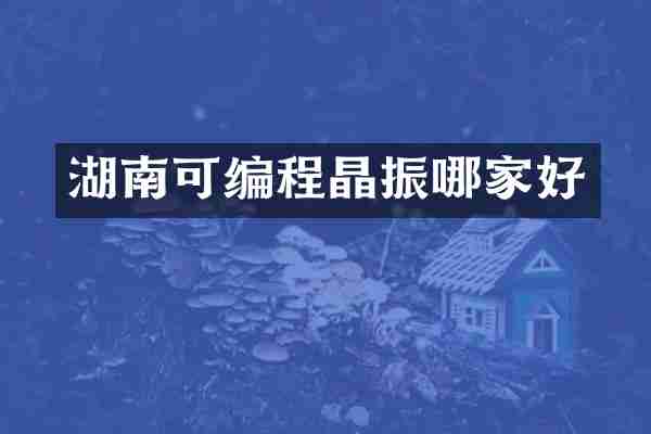 湖南可编程晶振哪家好