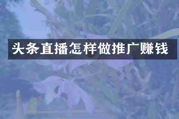 头条直播怎样做推广赚钱