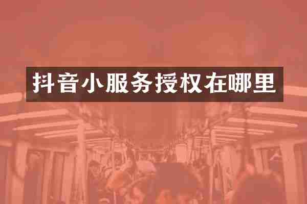 抖音小服务授权在哪里