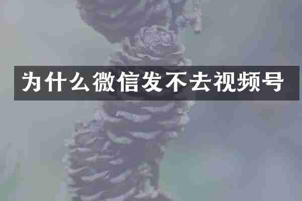 为什么微信发不去视频号
