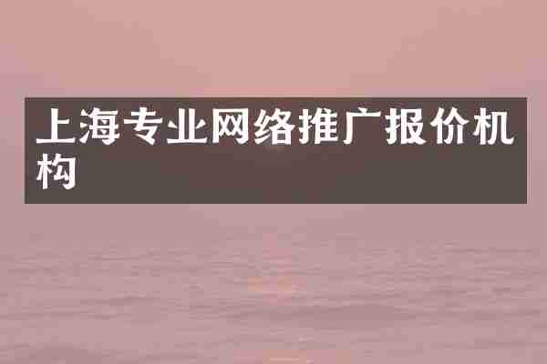 上海专业网络推广报价机构