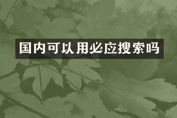 国内可以用必应搜索吗