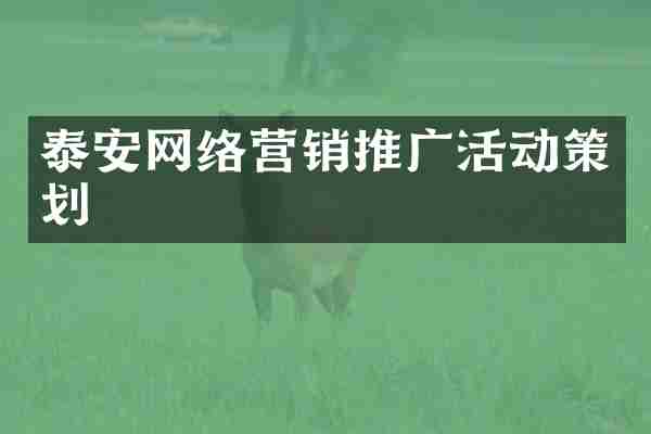 泰安网络营销推广活动策划