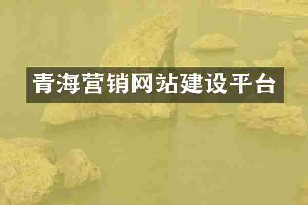 青海营销网站建设平台