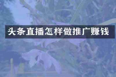 头条直播怎样做推广赚钱