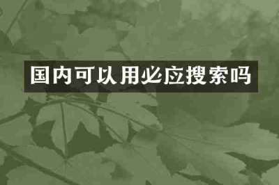 国内可以用必应搜索吗