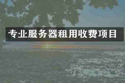 专业服务器租用收费项目