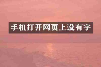 手机打开网页上没有字