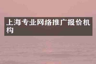 上海专业网络推广报价机构