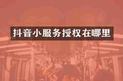 抖音小服务授权在哪里