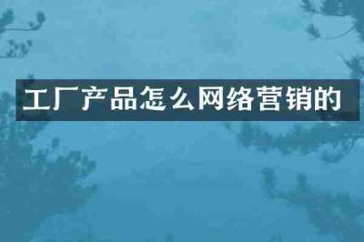 工厂产品怎么网络营销的