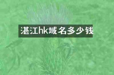 湛江hk域名多少钱