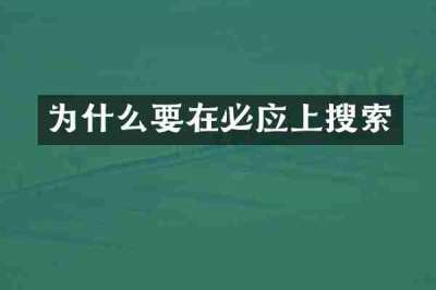为什么要在必应上搜索
