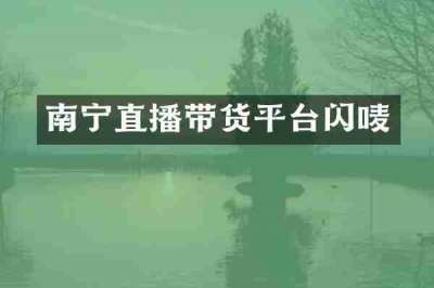 南宁直播带货平台闪唛
