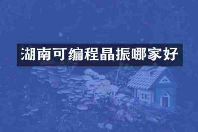 湖南可编程晶振哪家好