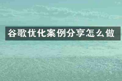 谷歌优化案例分享怎么做