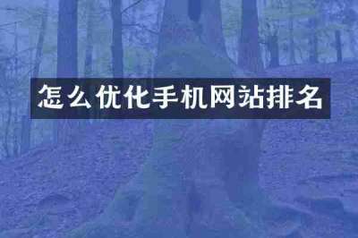 怎么优化手机网站排名