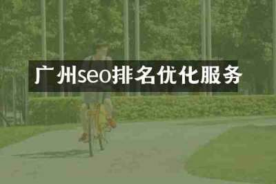 广州seo排名优化服务