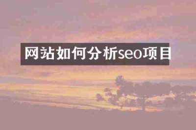 网站如何分析seo项目
