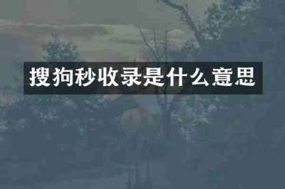 搜狗秒收录是什么意思