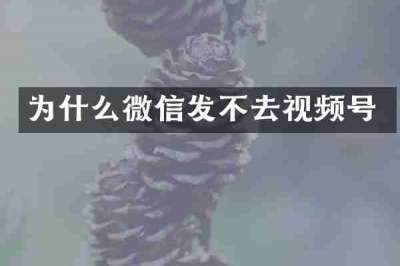 为什么微信发不去视频号