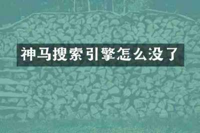 神马搜索引擎怎么没了
