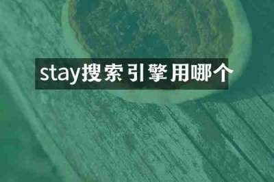 stay搜索引擎用哪个