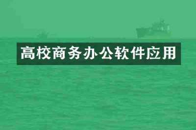 高校商务办公软件应用