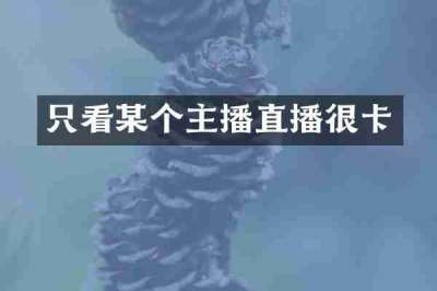 只看某个主播直播很卡