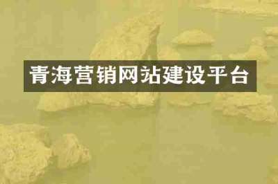 青海营销网站建设平台
